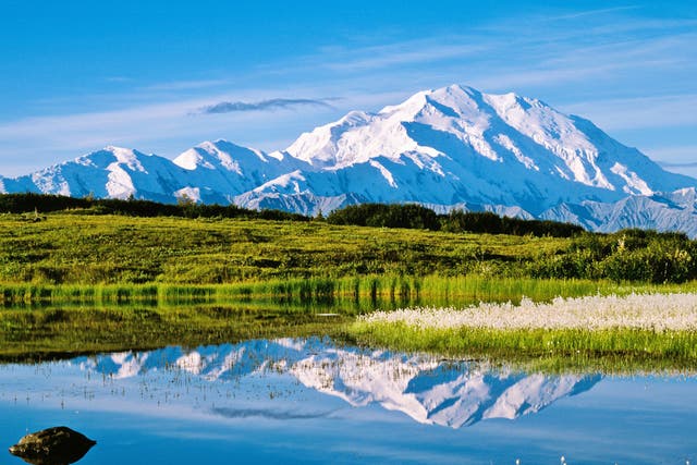 Peak form: Mt McKinley rises more than 20,000ft