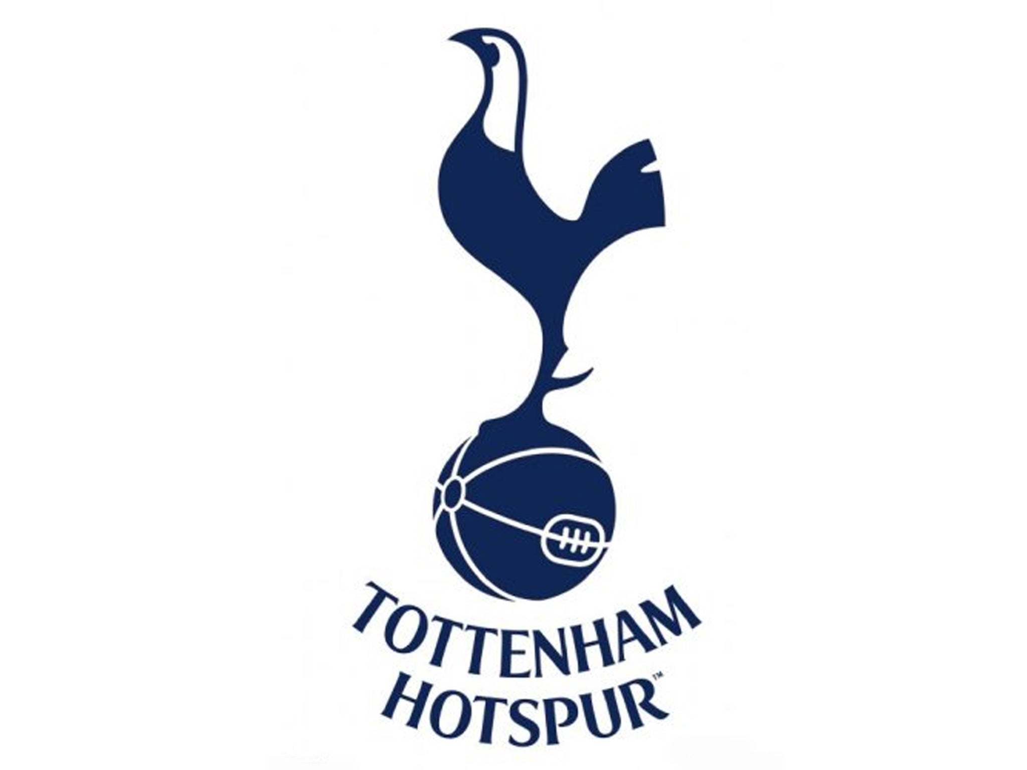 Tottenham Hotspur Nail Decals - wide 6