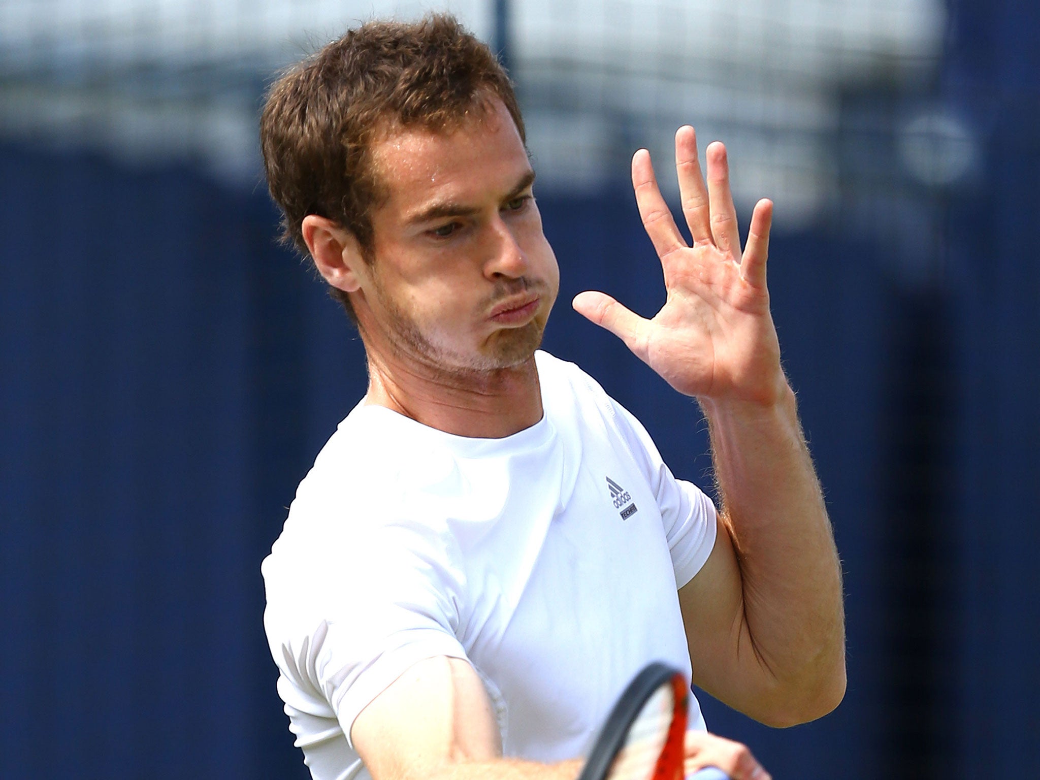 Back in action: Andy Murray starts the grass season at Queen’s this week