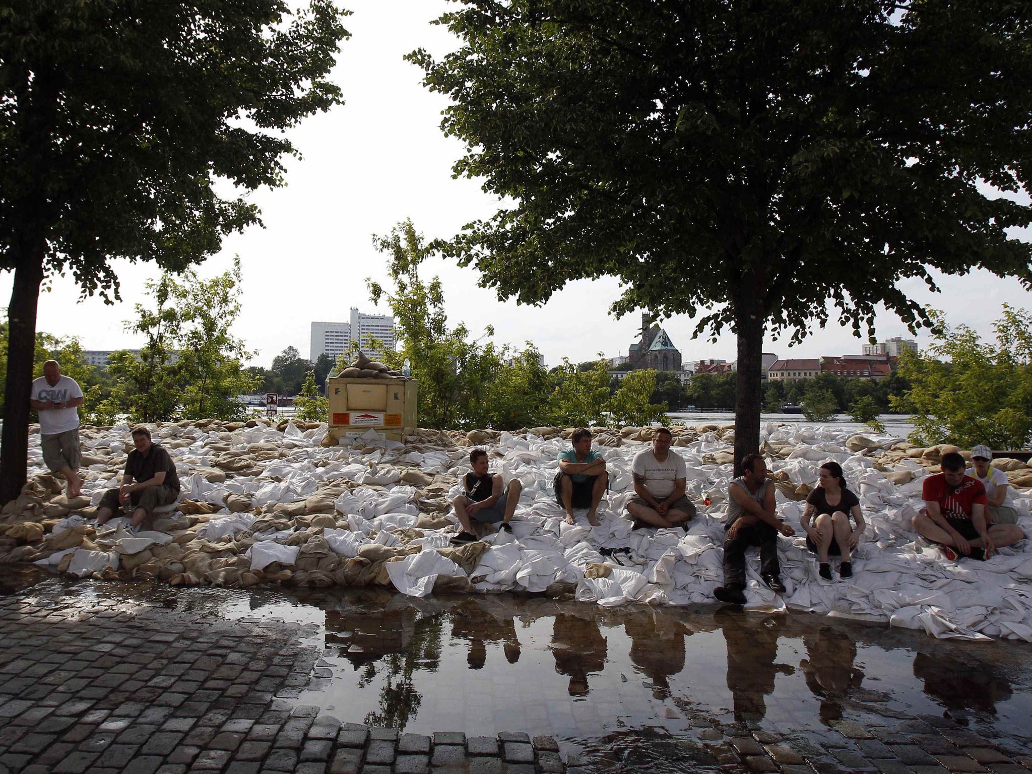 Volunteers next to the River Elbe in Magdeburg