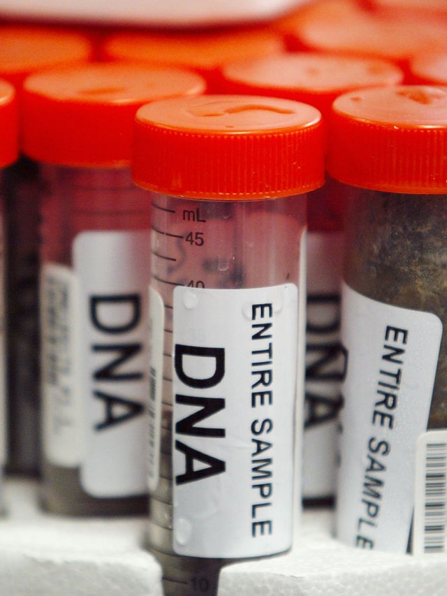 Police told to explain use of unregulated DNA database | The