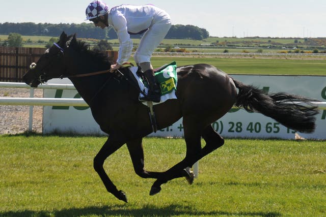 Trading Leather wins the Listed Silver Stakes at the Curragh yesterday