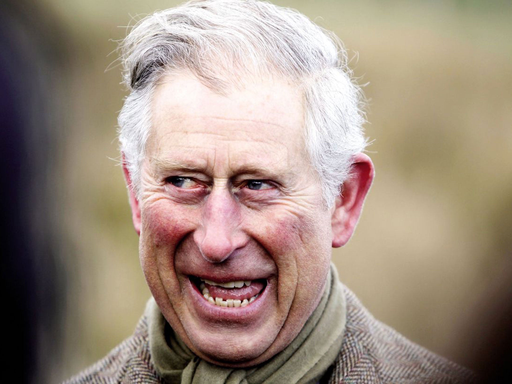 Prince Charles employs a retinue of 125 official staff