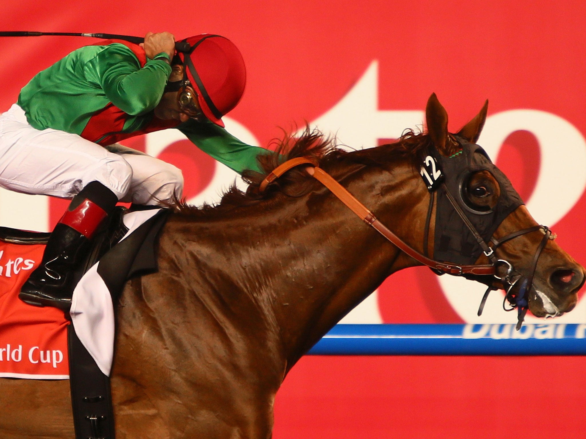 Animal magic: Joel Rosario on Animal Kingdom wins the $10m Dubai World Cup – the world’s richest race – in March