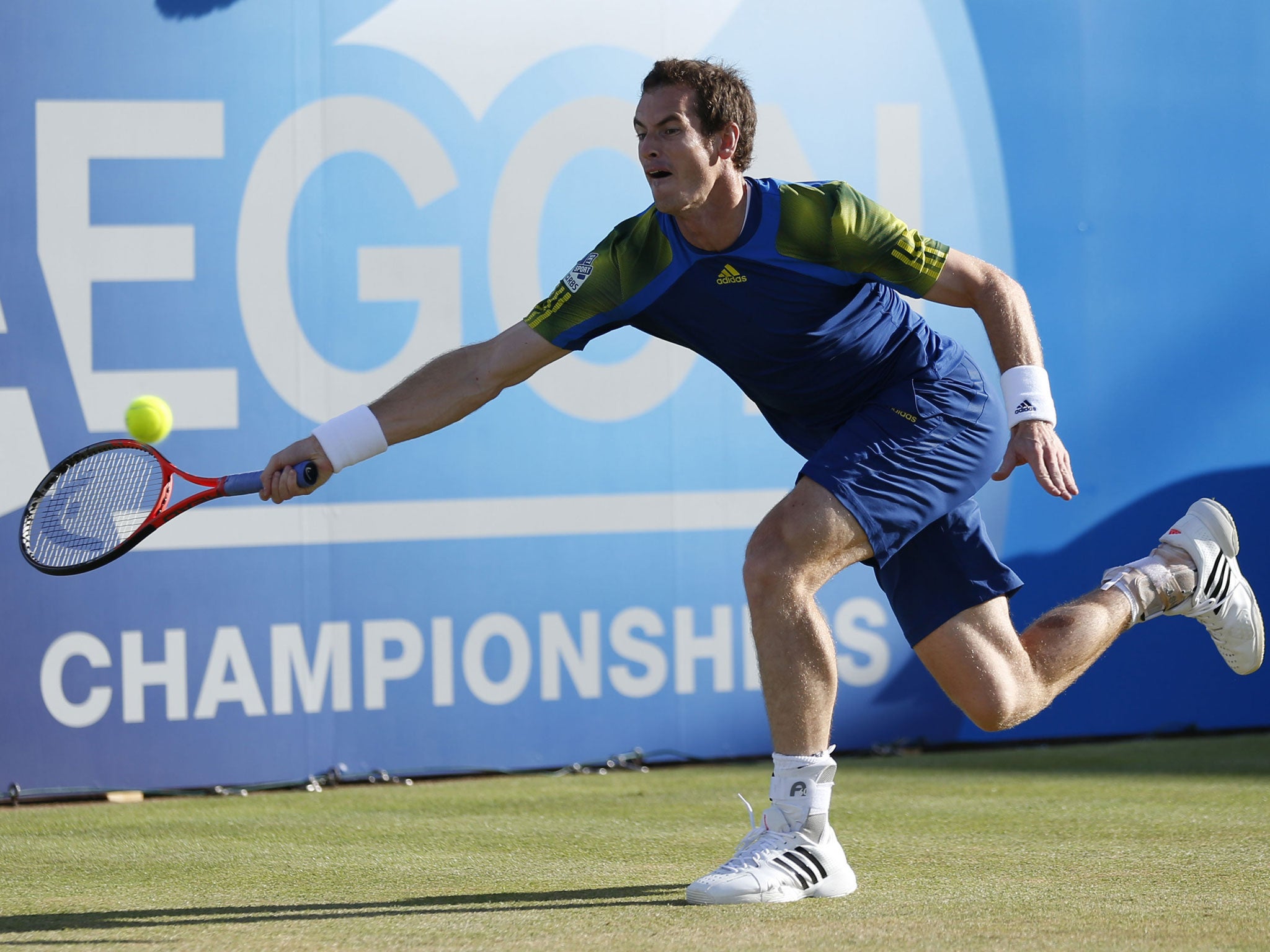 On song: Andy Murray reaches for a forehand against Jo-Wilfried Tsonga at the Queen's Club
