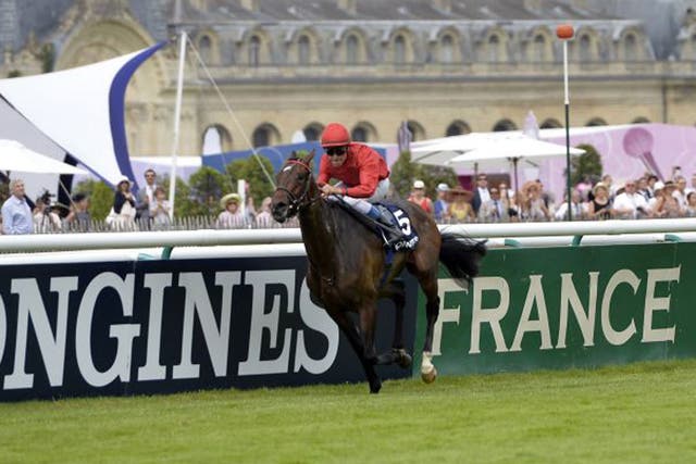 Treve storms to victory in the Prix de Diane in track record time 