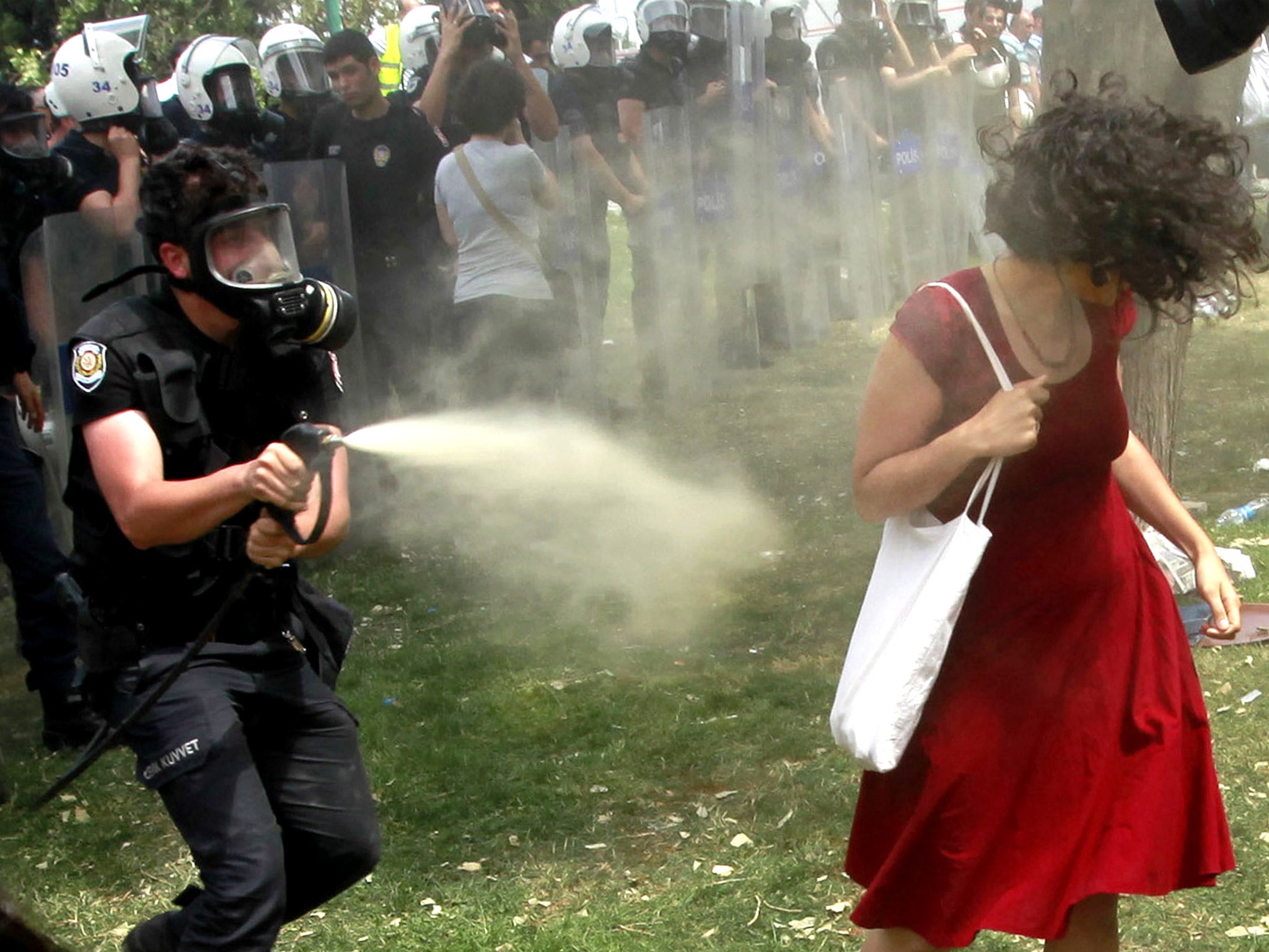 In images from last summer which came to symbolise anti-government protests, the 'lady in the red dress', later identified as Ceyda Sungur, is sprayed with tear gas by a police officer