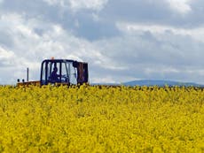 GM crops are 'pretty much just crops', major review suggests