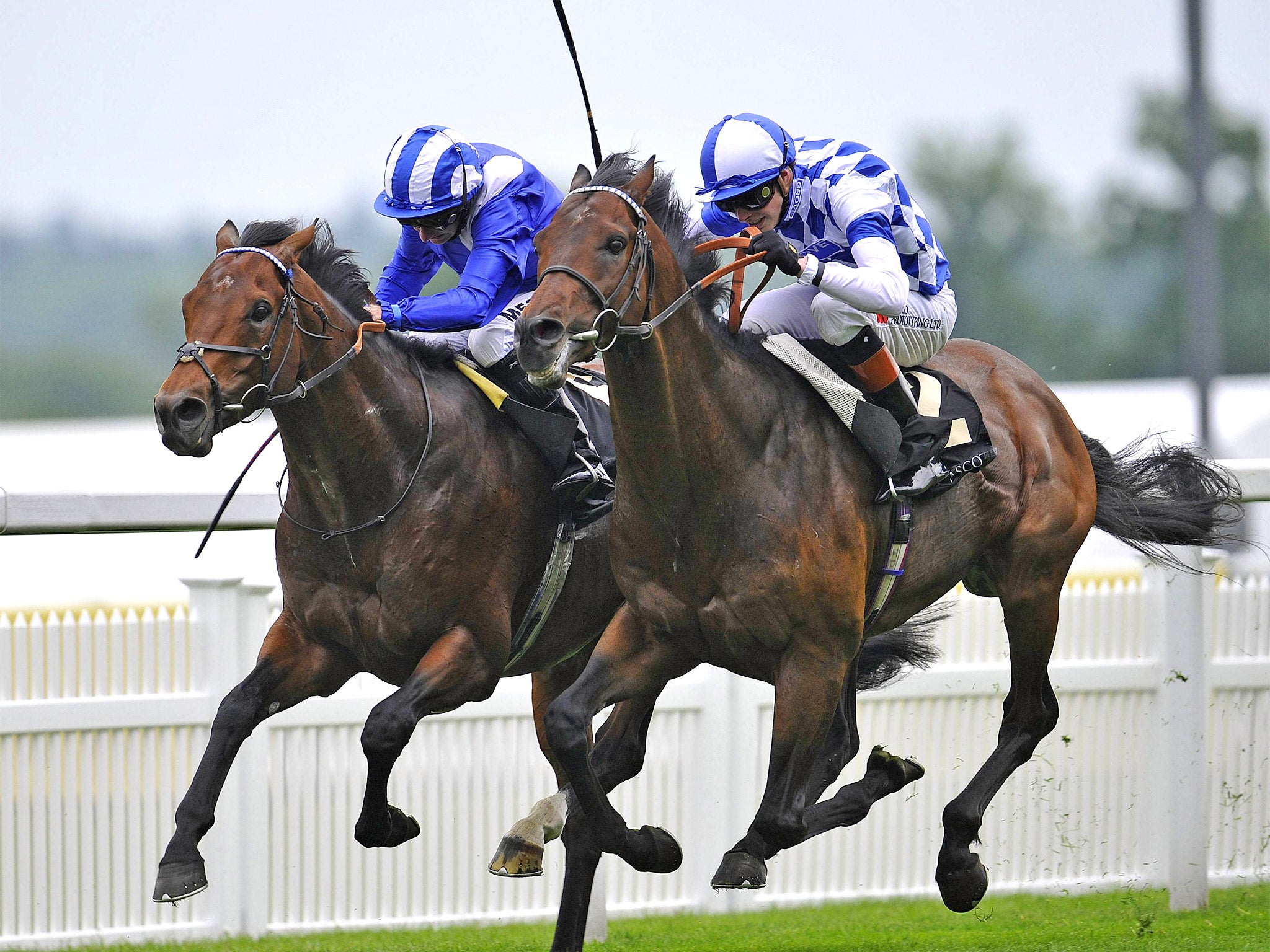 James Doyle on Al Kazeem (right) collars Mukhadram, ridden by Paul Hanagan, to land the Prince of Wales’s Stakes at Royal Ascot