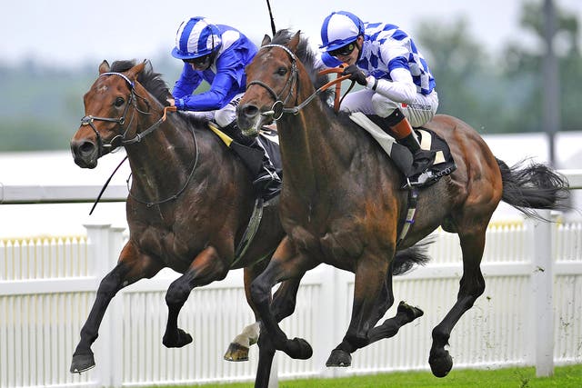James Doyle on Al Kazeem (right) collars Mukhadram, ridden by Paul Hanagan, to land the Prince of Wales’s Stakes at Royal Ascot