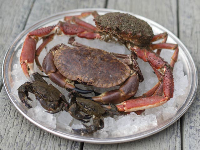 Heaven and shell: spider, Mudeford and brown crabs at the Jetty Restaurant at Mudeford in Dorset