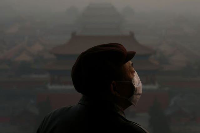 A tourist wearing the mask looks at the Forbidden City, Beijing