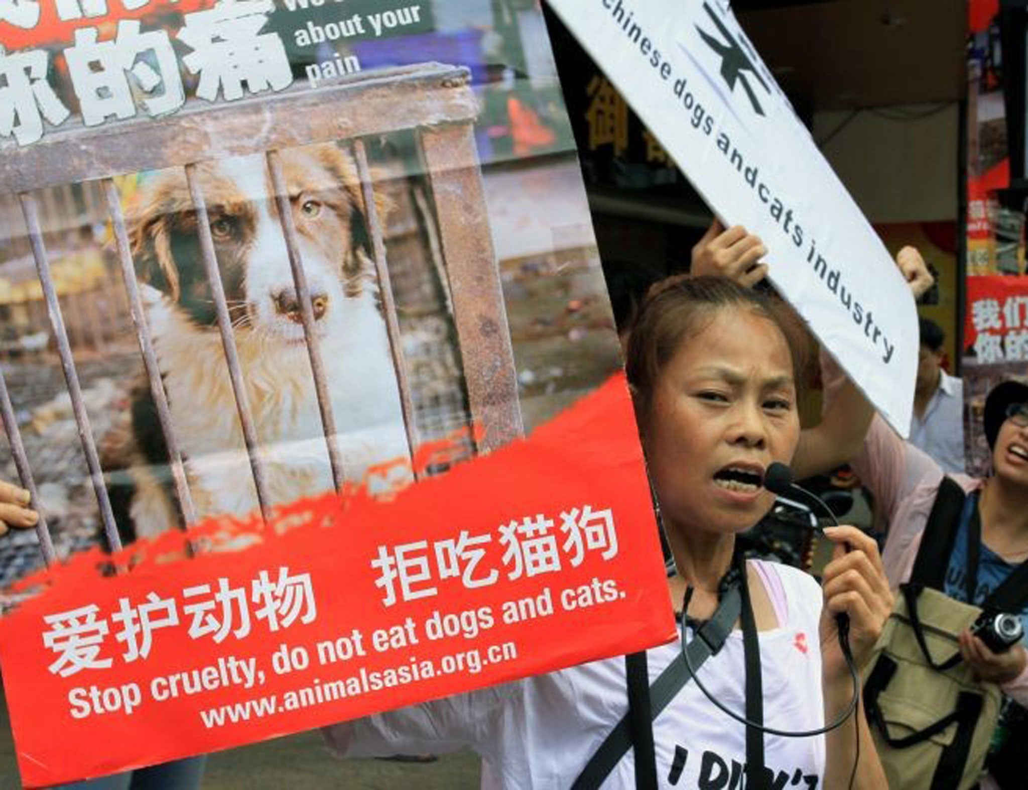 Animal rights activists protest at Yulin's dog meat festival