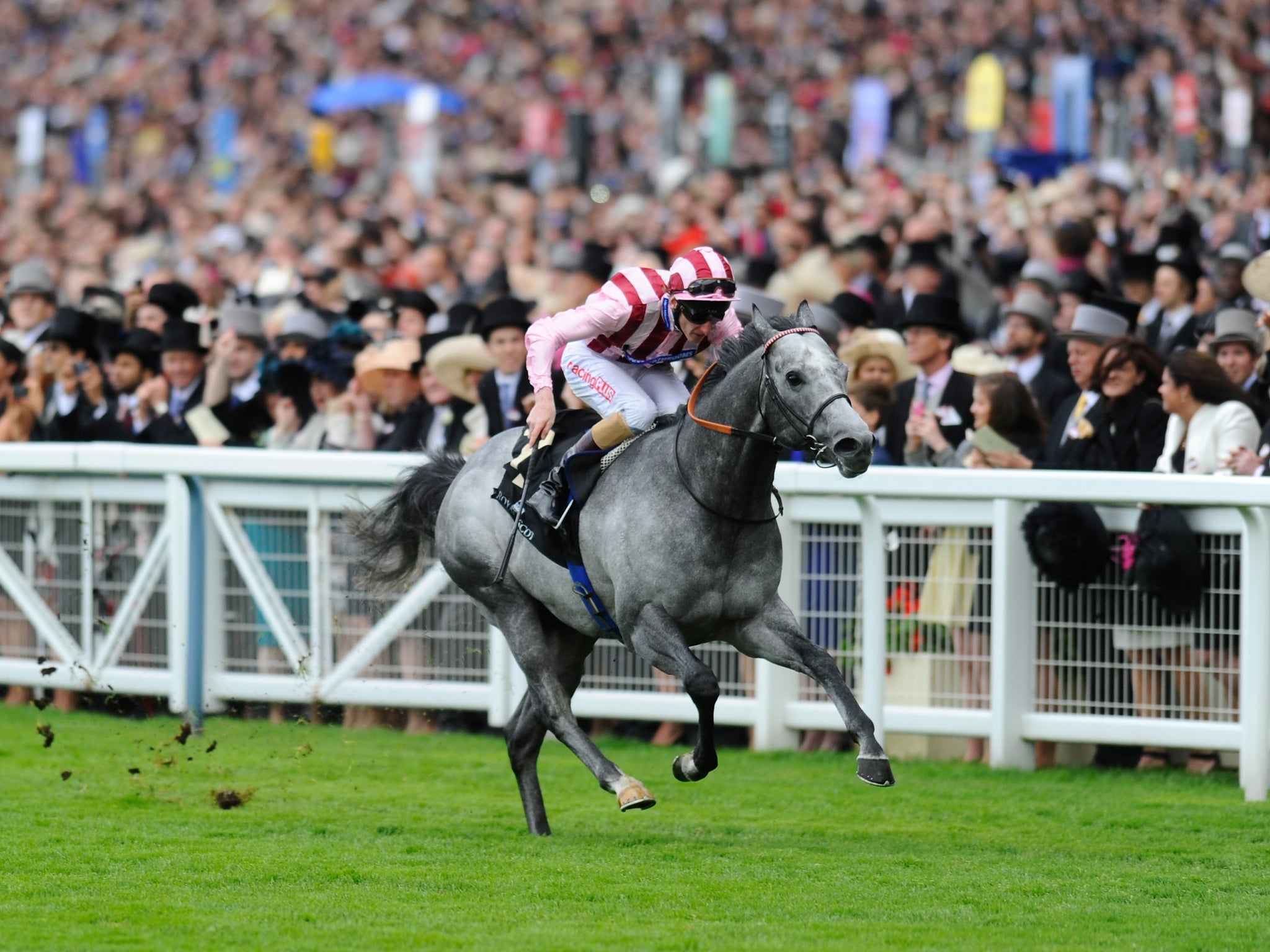 Lethal Force in the home straight on his way to the Diamond Jubilee Stakes
