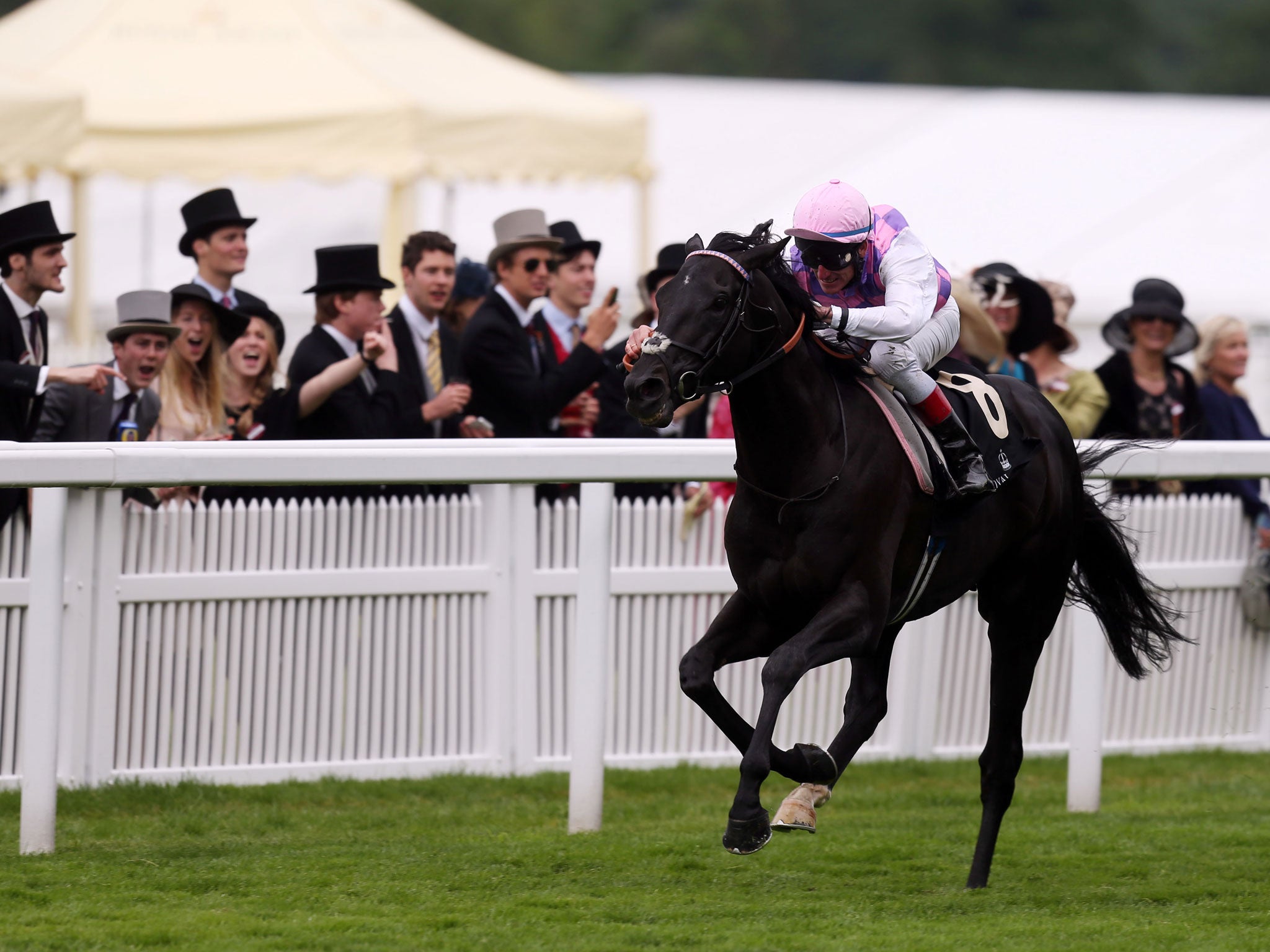 Johnny Murtagh’s mount Thomas Chippendale races to victory in the Hardwicke Stakes only to collapse and die shortly