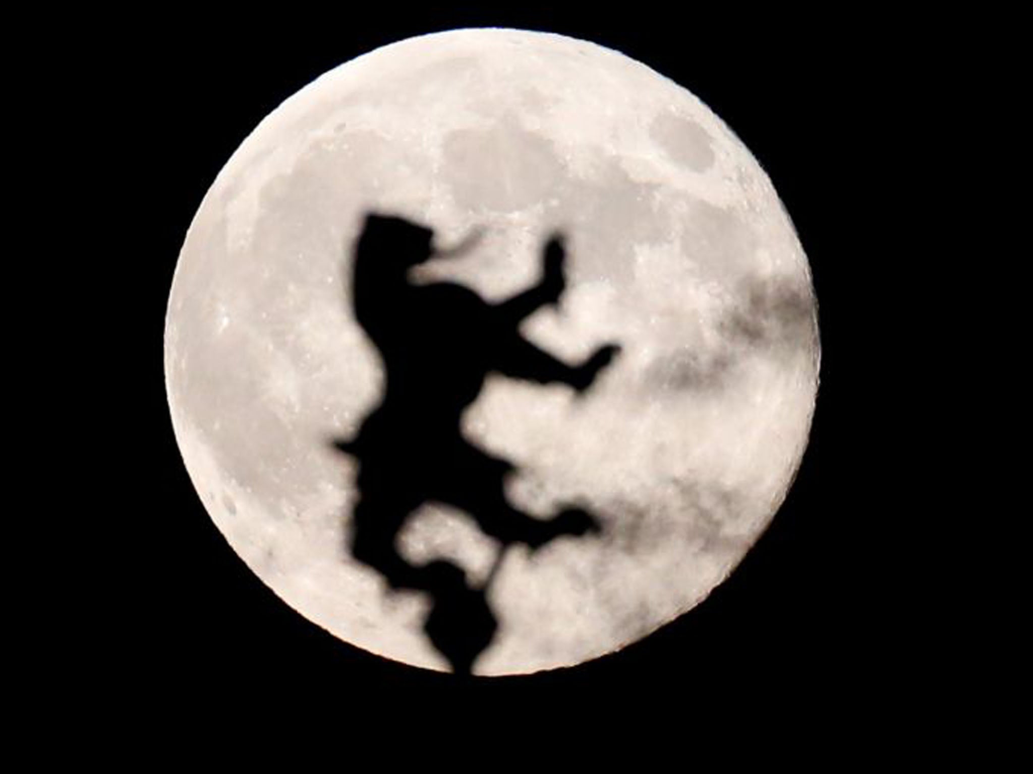 A statue of Berlin's city symbol, the Berlin bear, is seen in front of the moon