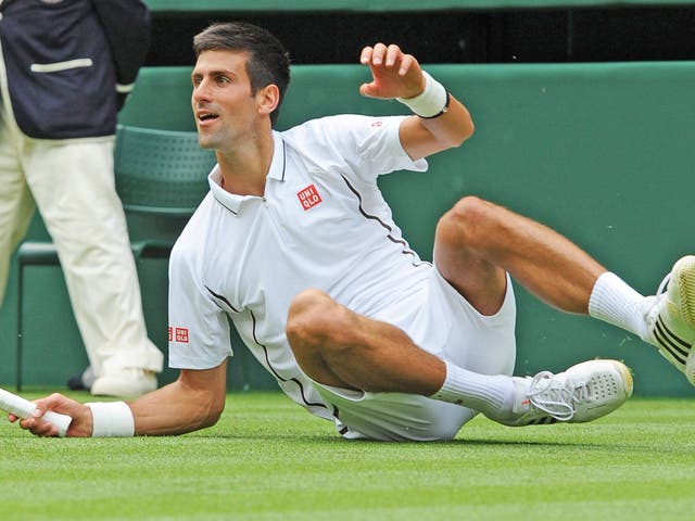 Novak Djokovic takes a tumble during his match against Florian Mayer