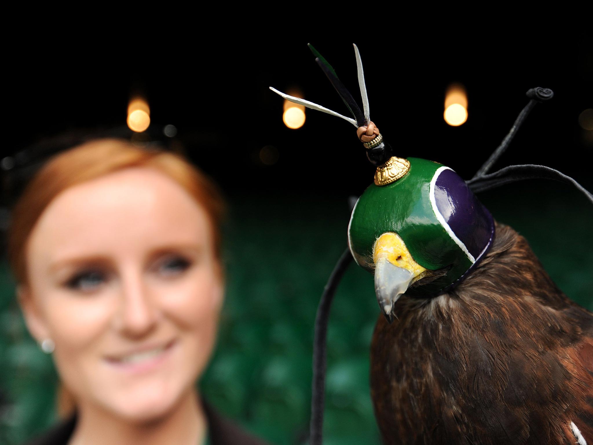 Rufus the Hawk wears his new hood in Wimbledon colours while on patrol on Centre Court with his handler Imogen Davies during day four of Wimbledon