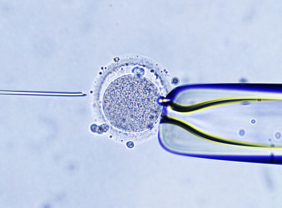 The new controversial IVF technique produces embryos with DNA from three people