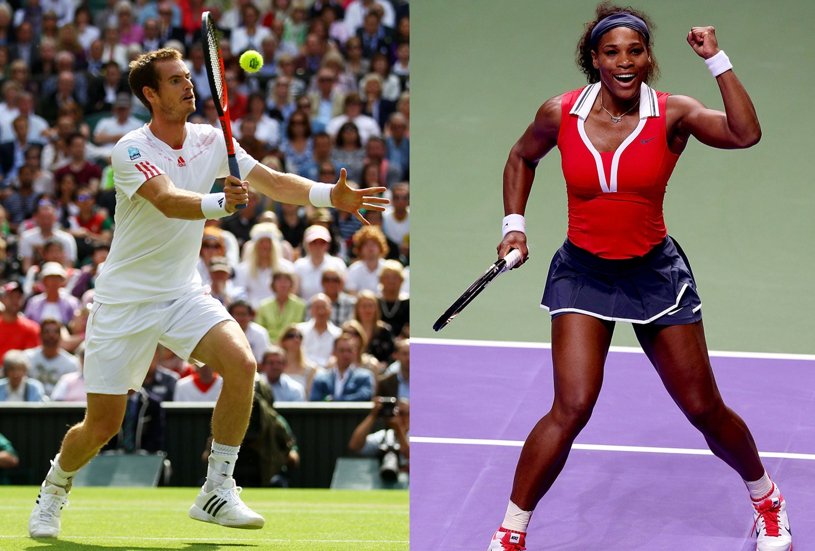 Williams vs. Murray: Who would win?
