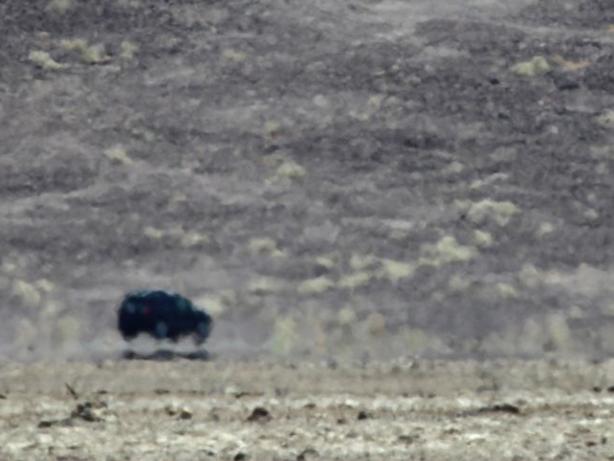 A mirage makes a car appear as if it's hovering in Death Valley National Park, California