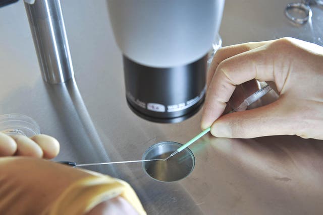 Embryos being prepared for IVF