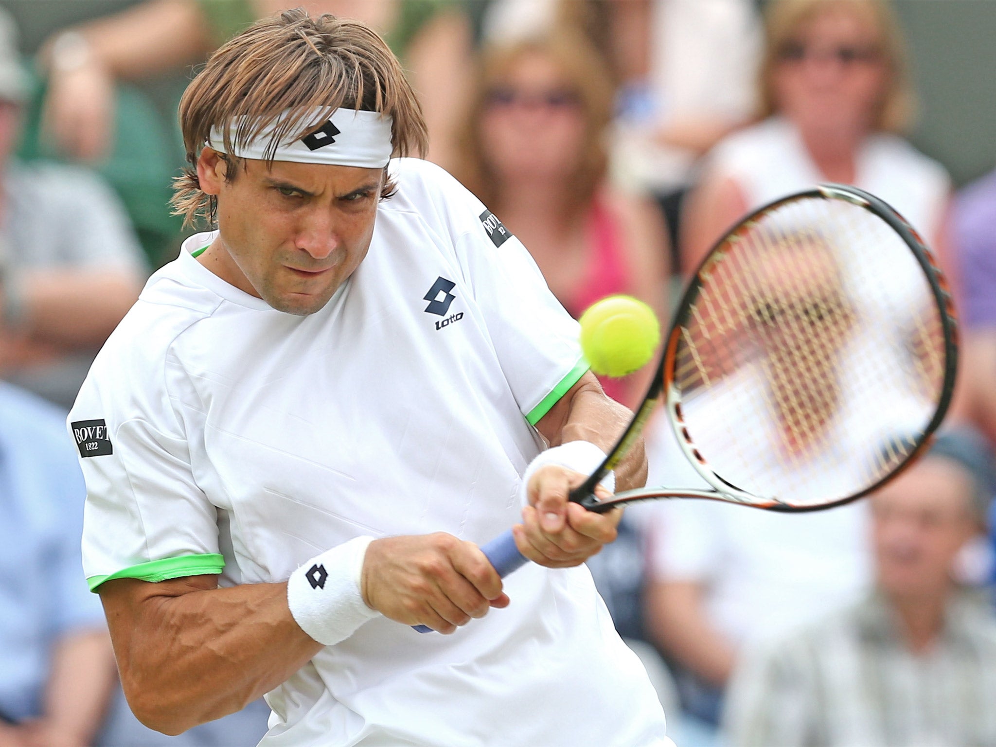 David Ferrer has proved his ability on all surfaces