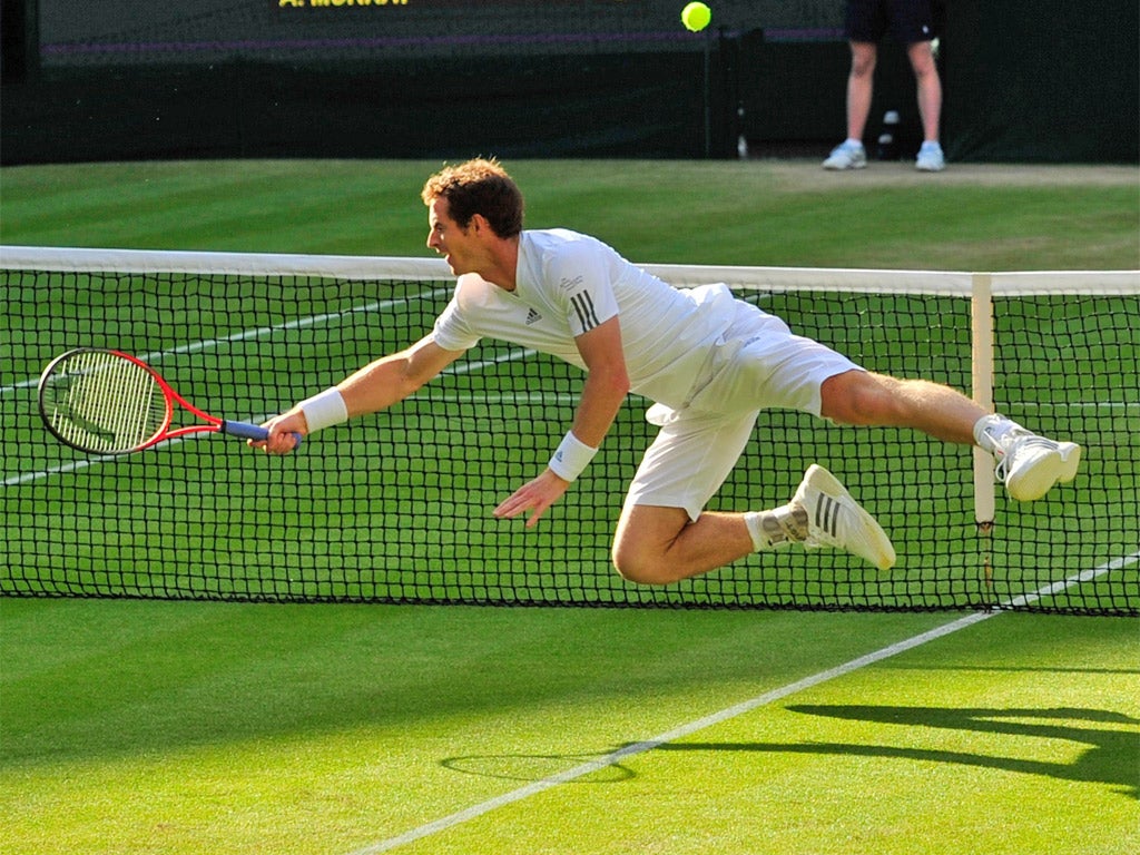 Andy Murray dives to make a return against Fernando Verdasco