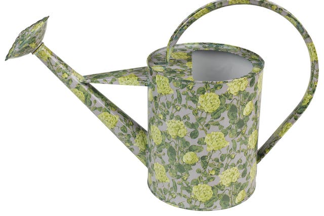 Pour it on: It's even possible for a watering can to embrace chintz. Wild & Wolf watering can, £34.95, <a>wildandwolf.com</a>