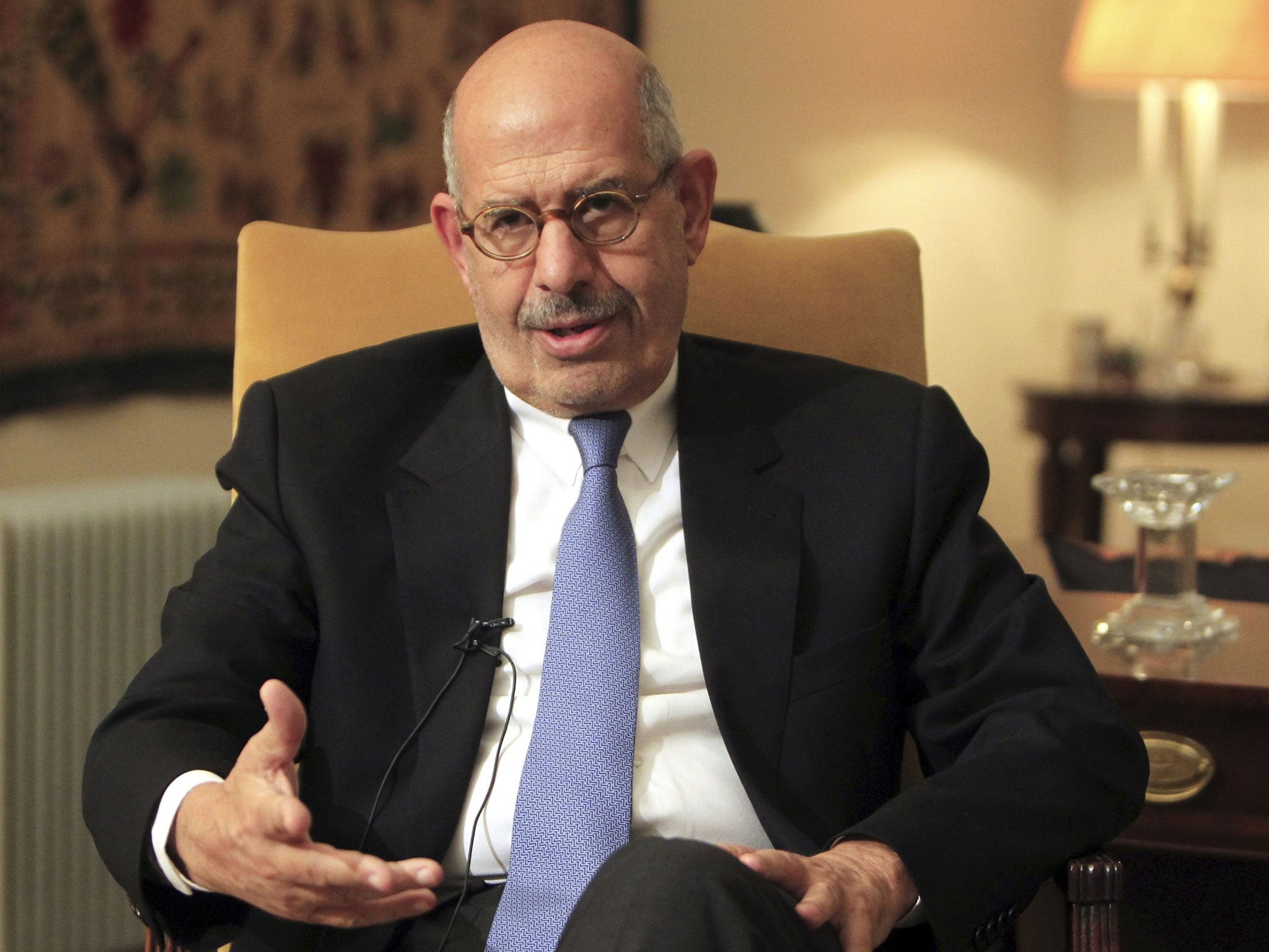 ElBaradei: lacks political experience