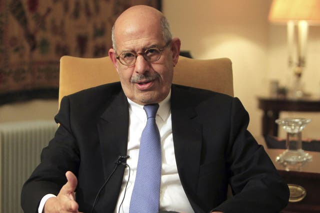 ElBaradei: lacks political experience