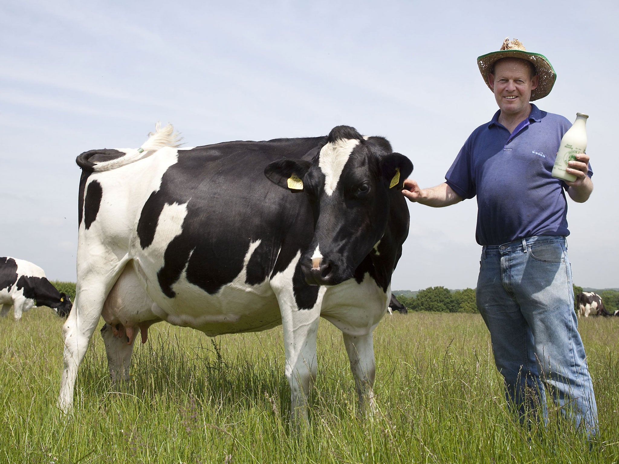 Steve Hook sells his milk raw