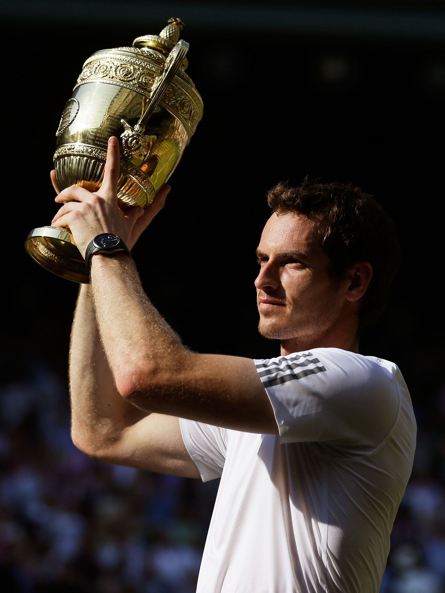 Andy Murray: the champion