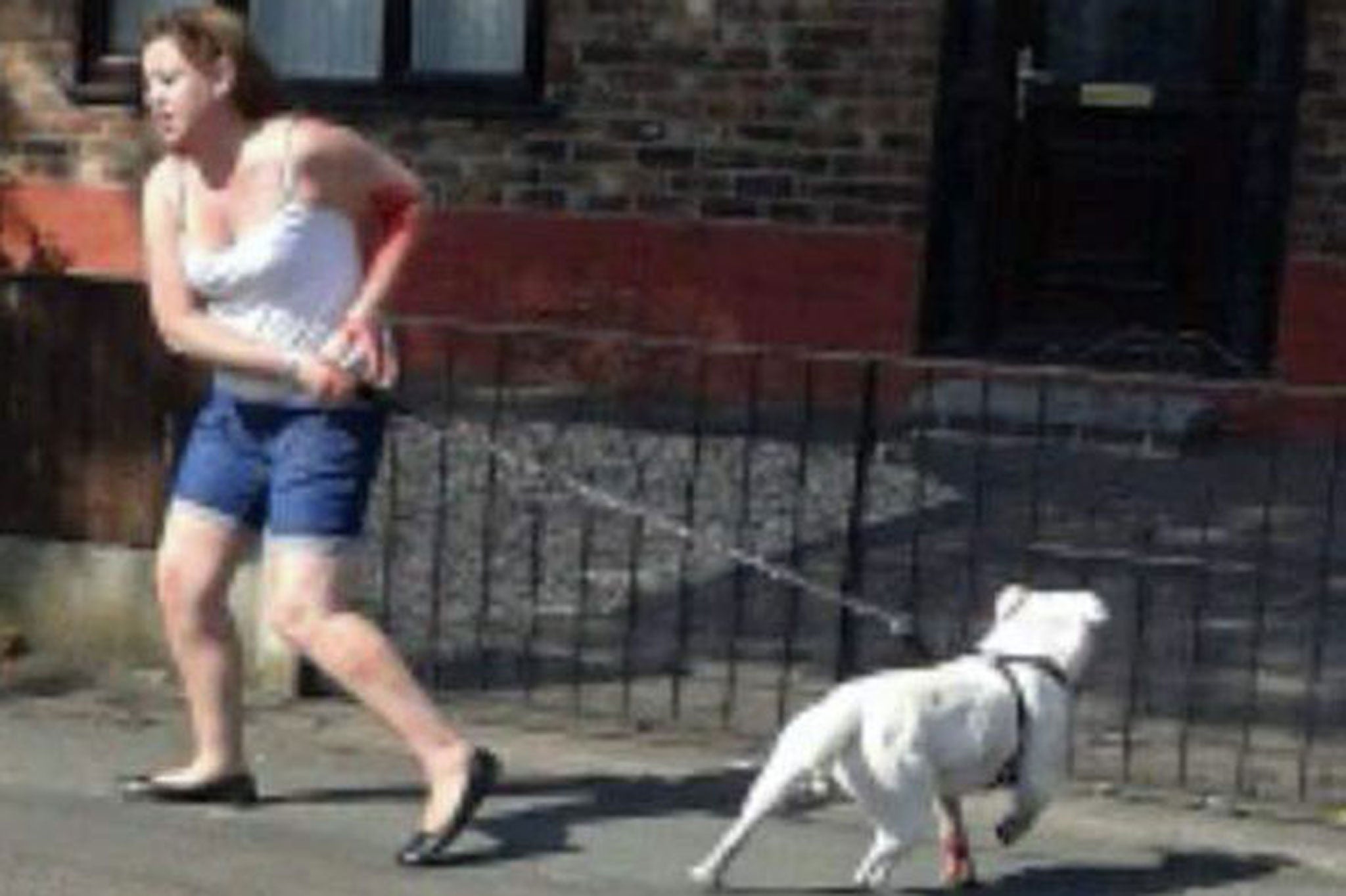 Images of the attack, which took place on Saturday, show a woman and the dog believed to be responsible walking from the scene covered in blood. A Pomeranian dog named Elvis died as a result of the horrific attack.
