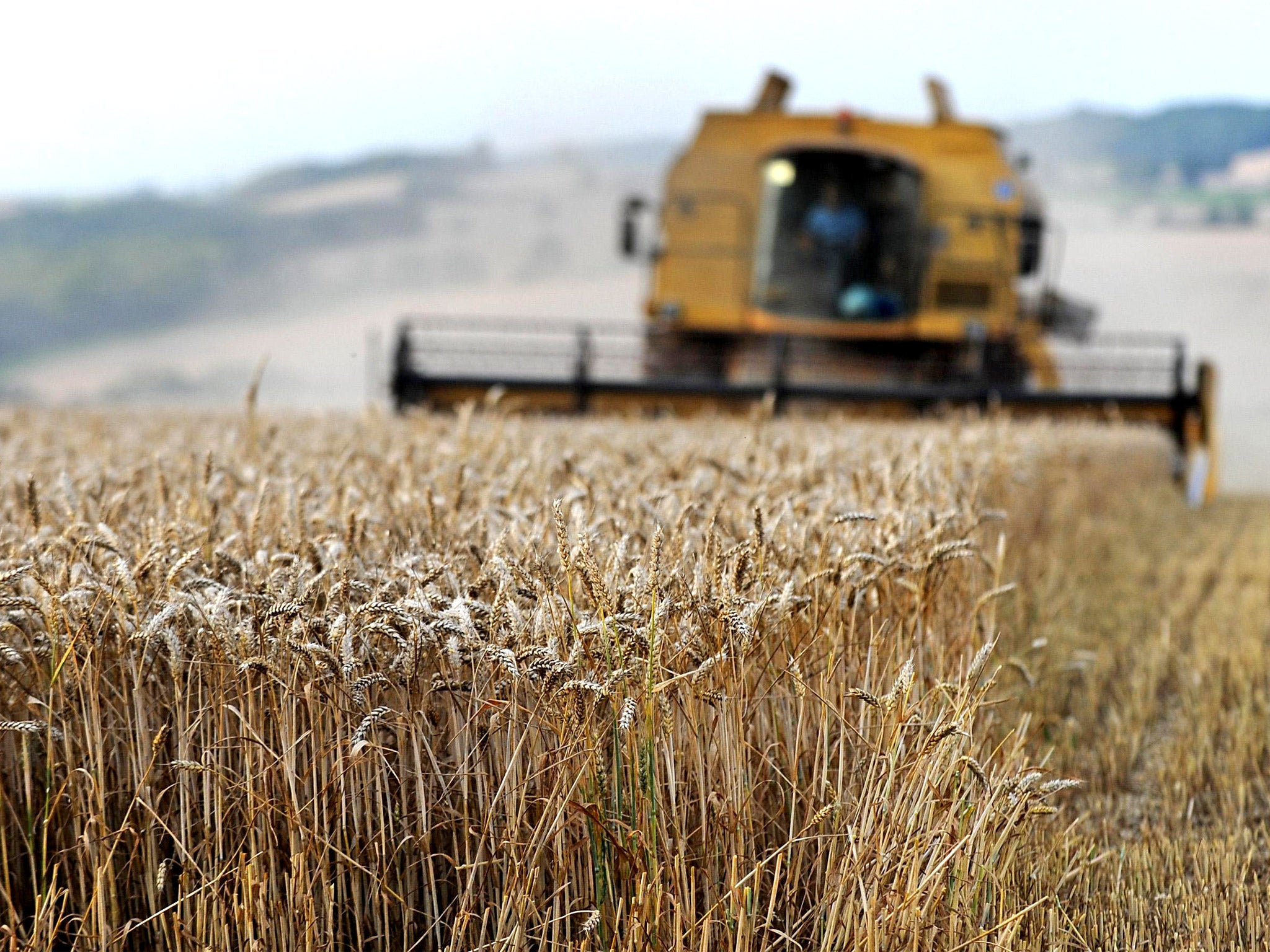 Harvesting a field of wheat in Leicestershire