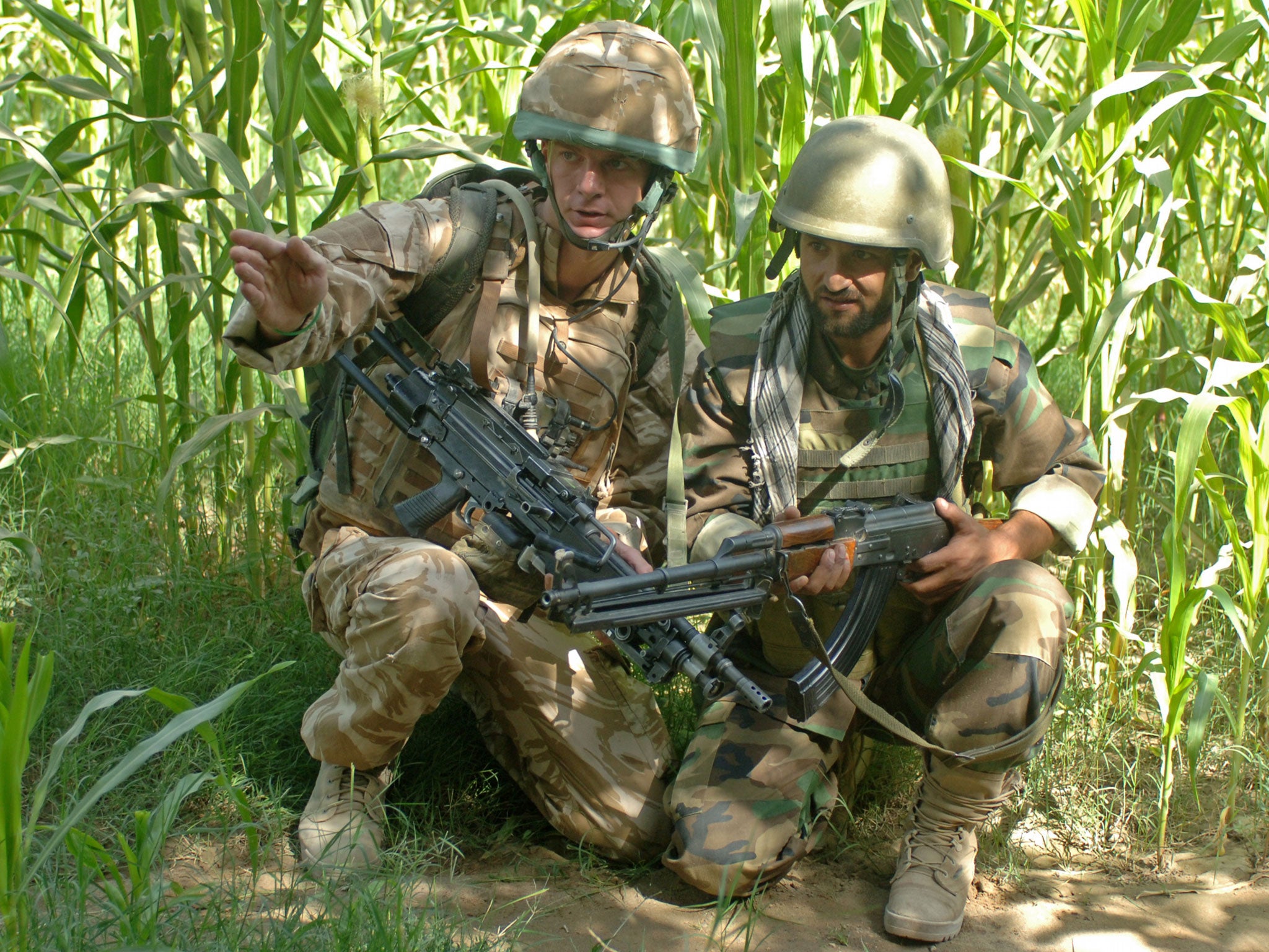 British territorial army forces in Afghanistan.