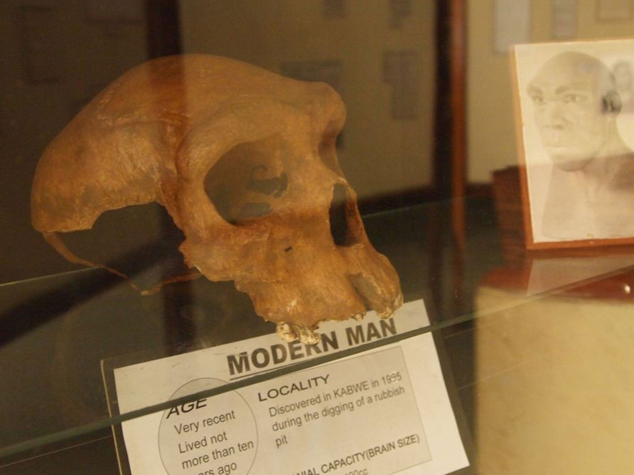 The replica skull does 'not fulfil the expectations of Zambians'