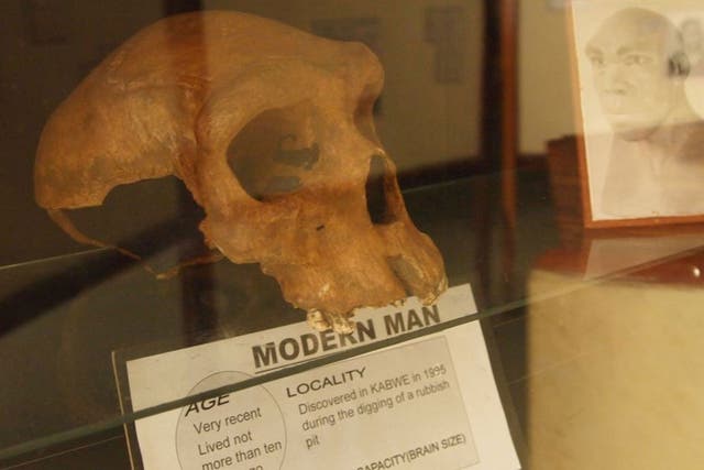 The replica skull does 'not fulfil the expectations of Zambians'