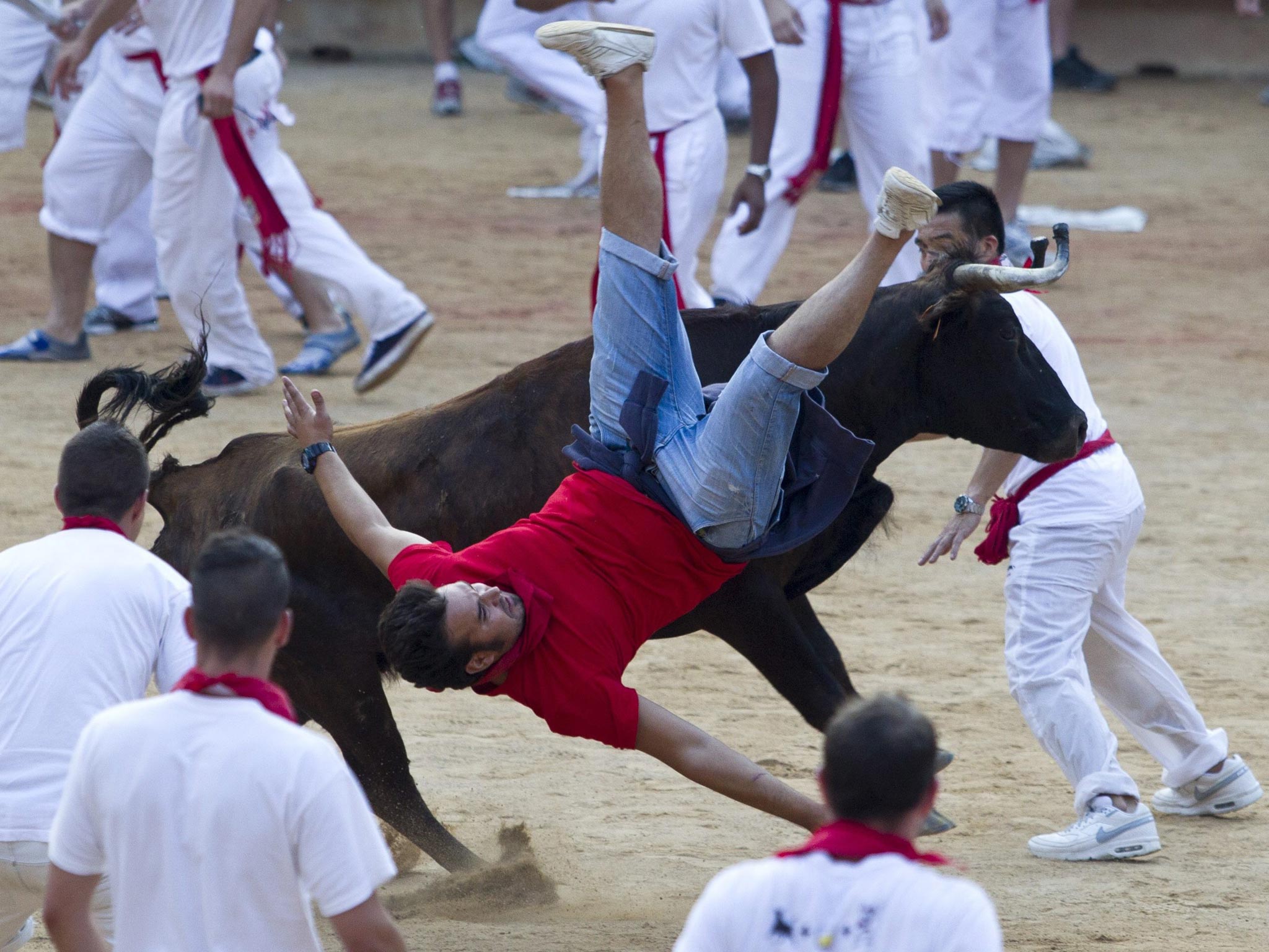 A man falls as he tries to outrun a wild bull, at the close of the running-with-the-bulls in the old city of Pamplona, northern Spain