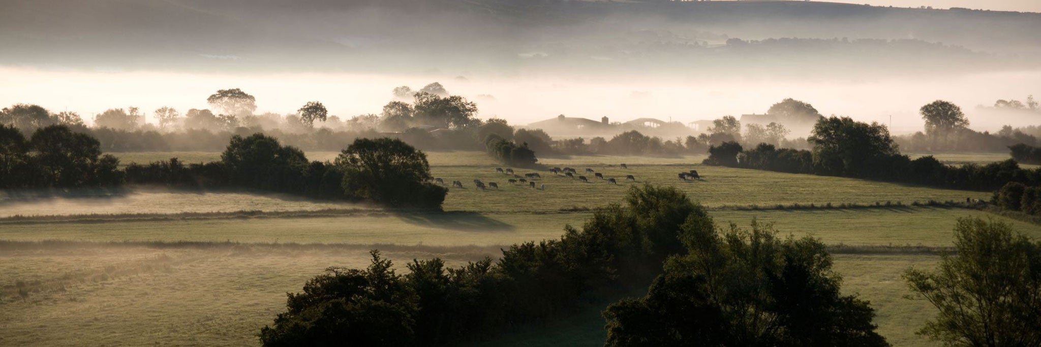 The picture at dawn outside Wedmore overlooking the Somerset Levels