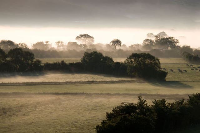 The picture at dawn outside Wedmore overlooking the Somerset Levels