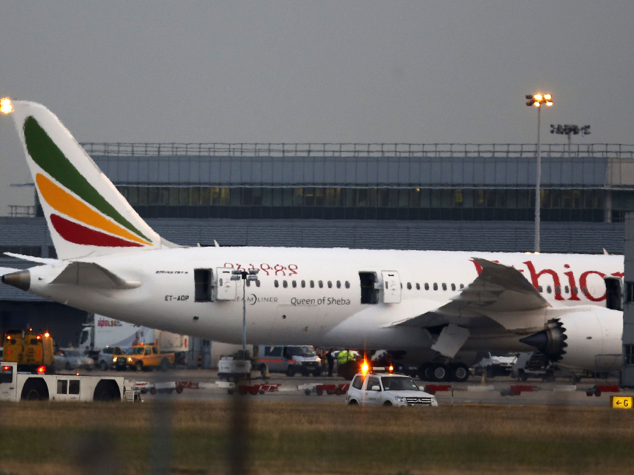 On the tarmac: The Ethiopian Airways plane at the centre of Friday’s chaos at Heathrow