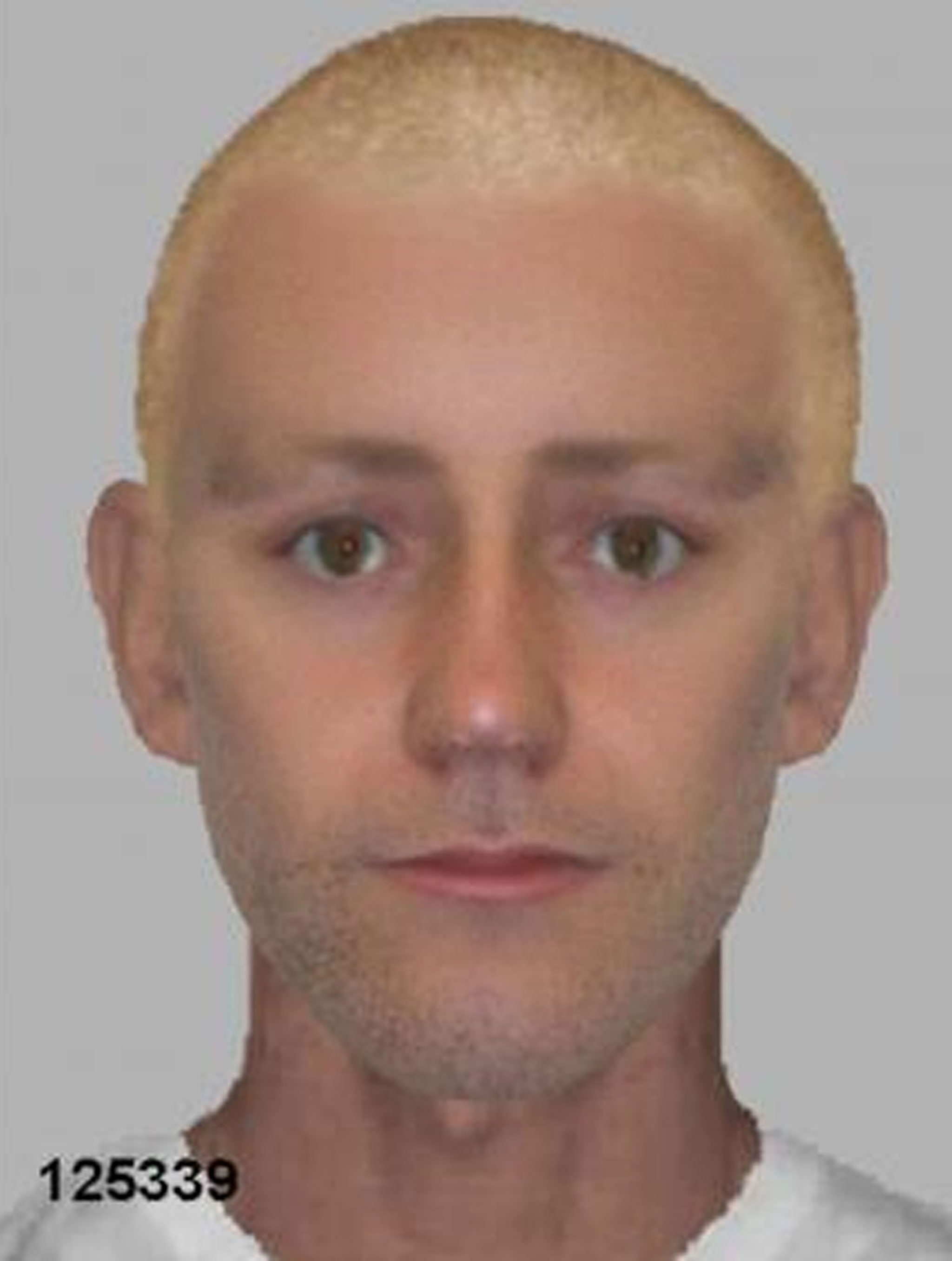 Police have released an e-fit of a man they suspect of sexually assaulting a 21-year-old woman while she sunbathed in a London park
