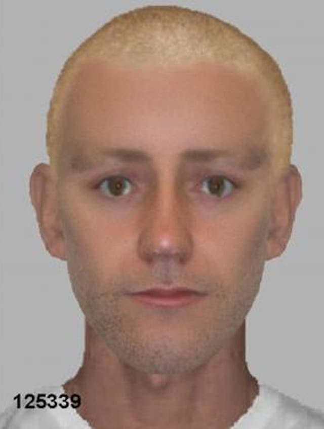 Police have released an e-fit of a man they suspect of sexually assaulting a 21-year-old woman while she sunbathed in a London park