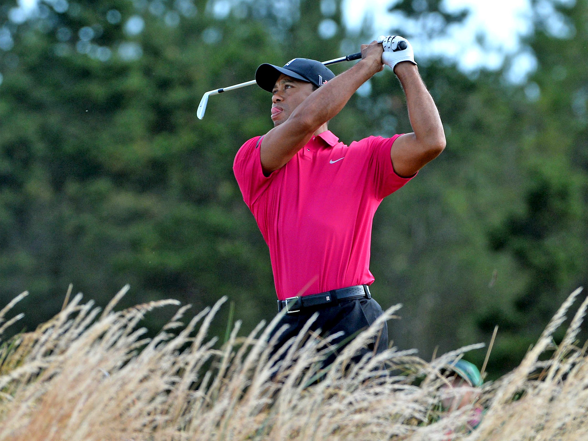 Tiger Woods watches the progress of a practice shot at Muirfield