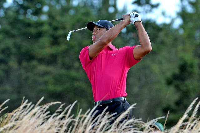 Tiger Woods watches the progress of a practice shot at Muirfield