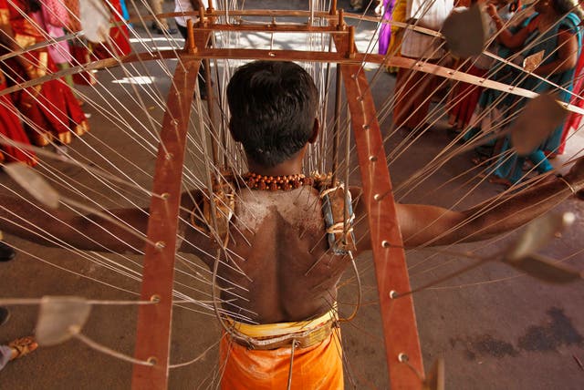 A Hindu devotee, whose body is pierced with skewers, takes part in the religious festival of Panguni Uthiram in the southern Indian city of Chennai March 26, 2013. The festival is observed in the Tamil month of Panguni and is celebrated in honour of the H