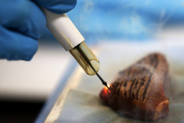 A demonstration shows how the iKnife can slice through animal muscle