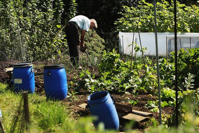 More allotments are being sold off by councils