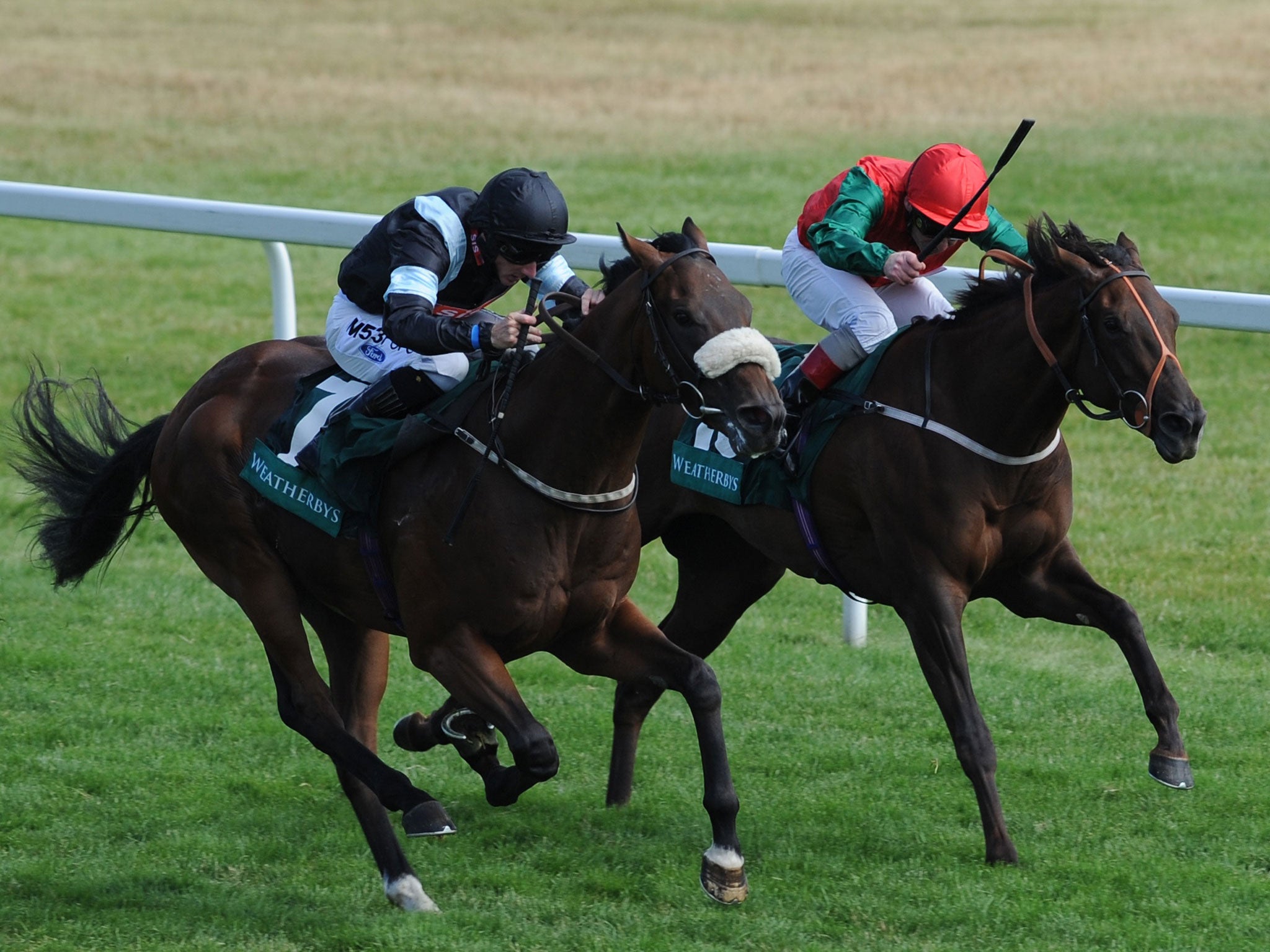 Flying finish: Peniaphobia, No 7, reels in the favourite, Lilbourne Lass, as he speeds towards an impressive victory in the Weatherbys Super Sprint at Newbury